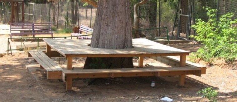 שולחן סביב עץ בחצר בית ספר – אדריכלות בטבע